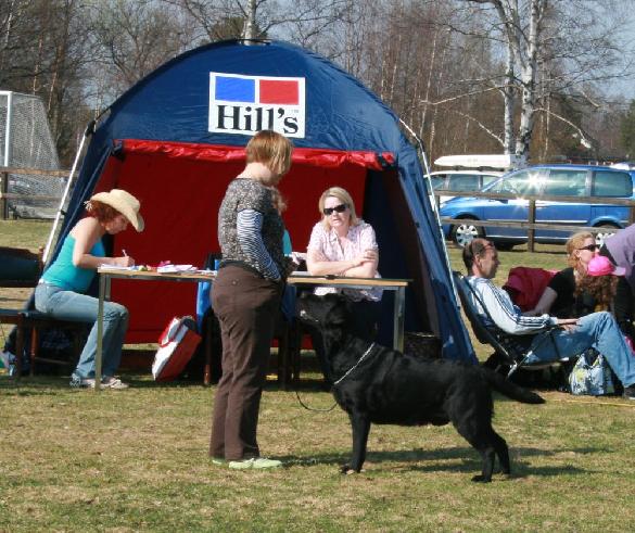 New Swedish Show Champion!