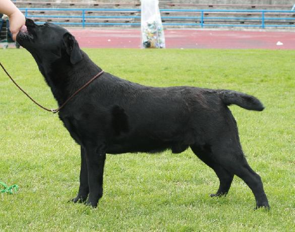 6.6.2010