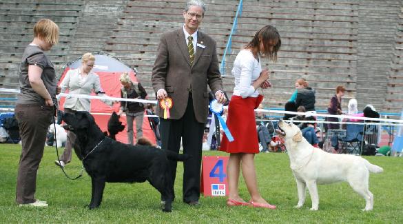 6.6.2010 Tallinn INT (ESTW-10), judge Luis Pinto Teixeira (Portugal): BOB CACIB BIG-1 BIS-3 A's Taittinger and BOS CACIB CAC Kanga Gorska Fantazja