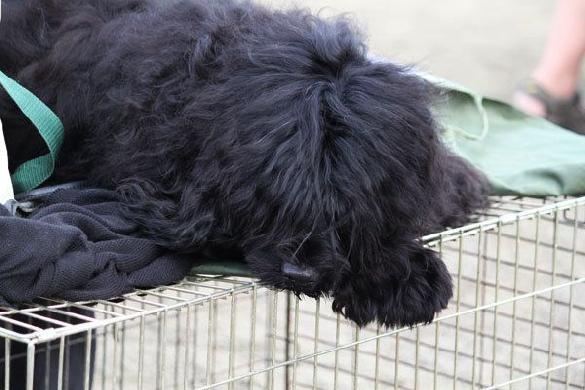 Photo taken by Jaana Siltanen