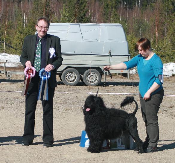 25.4.2011 Ruovesi Group Show BIS-2 under Tapio Eerola, FI