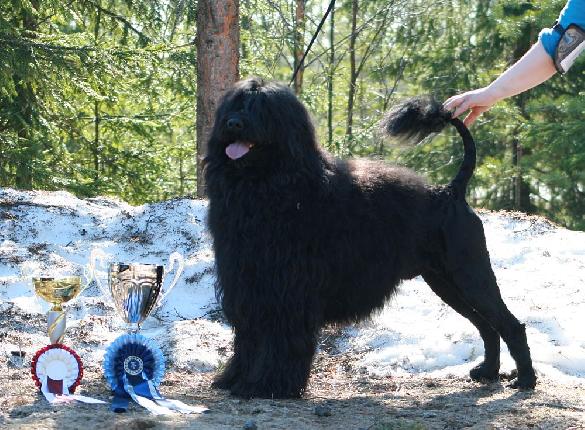 25.4.2011 Ruovesi Group Show BIS-2 under Tapio Eerola, F