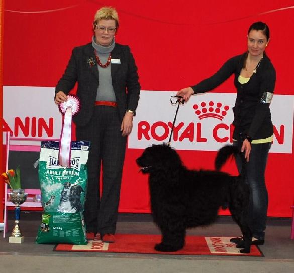 3.4.2011 Lohja Group Show BIS under Paula Heikkinen-Lehkonen, FI