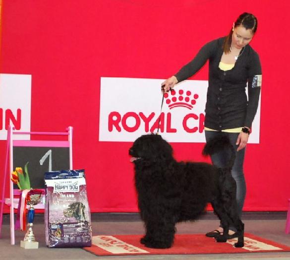 3.4.2011 Lohja Group Show BIS under Paula Heikkinen-Lehkonen, F