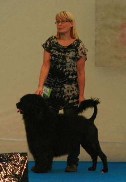 22.1.2012 Turku INT: BM-1 CACIB BOB and BIG-1!!!