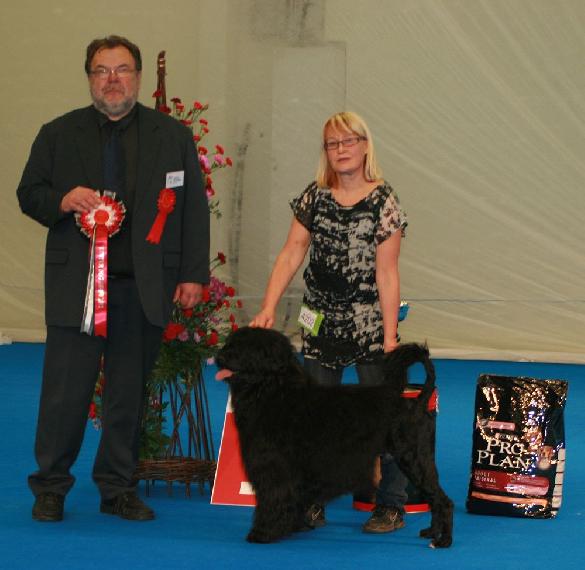 22.1.2012 Turku INT: BM-1 CACIB BOB and BIG-1!!!