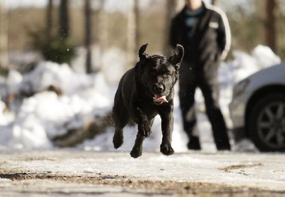 11.3.2012 -  Merle Holmberg