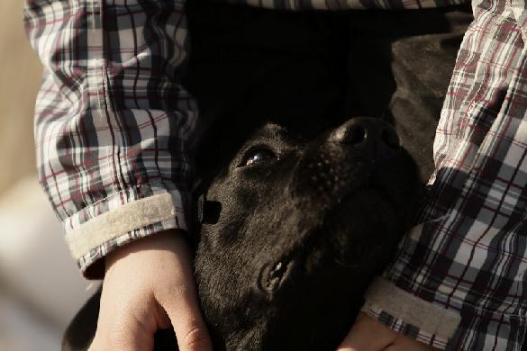 11.3.2012 -  Merle Holmberg