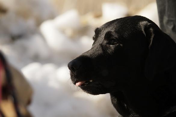 11.3.2012 -  Merle Holmberg