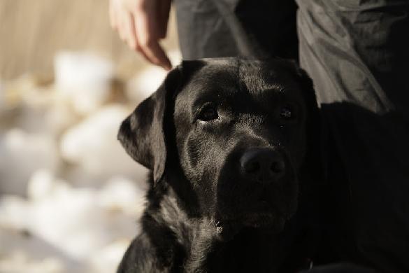 11.3.2012 -  Merle Holmberg