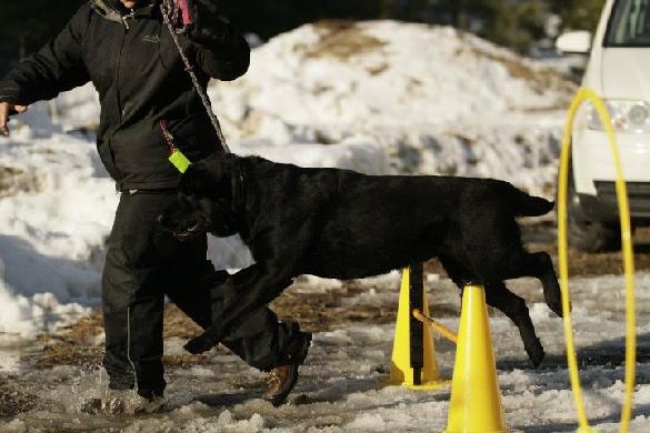 11.3.2012 -  Merle Holmberg