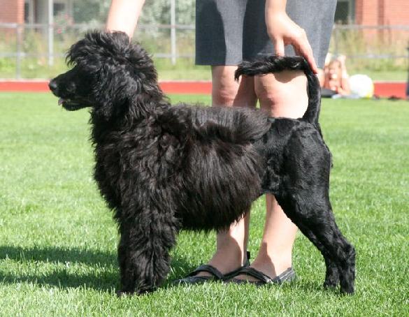 21.7.2012,  Marianne Forsell