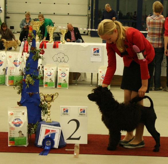 15.9.2012 BIG-2-puppy