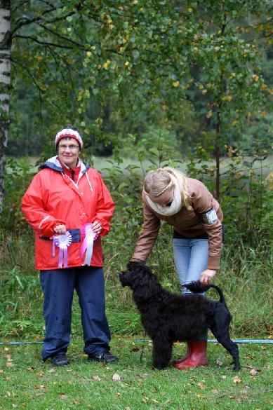 22.9.2012 Orivesi all-breed puppy show, judge Jaana Hartus, FI: BOB-puppy