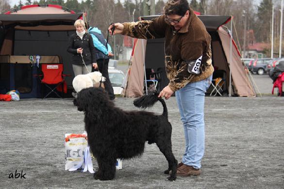 9.5.2013 Toijala group show: BOB and BIG-2