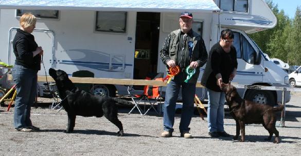 24.5.2009 Rauma all-breed show, BOB Taittinger, BOS Xisang, judge Harri Lehkonen