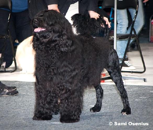 23.5.2009 Helsinki INT