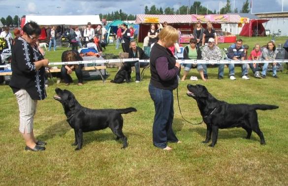 1.8.2009 Pori INT: Milly BOS CACIB and Martti BOB CACIB BIG-3