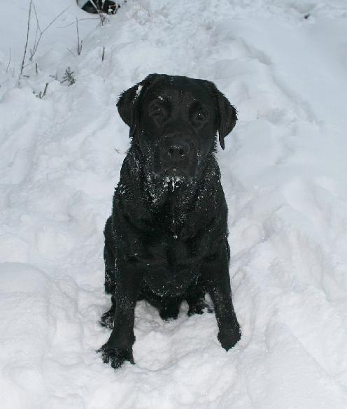 15.1.2010