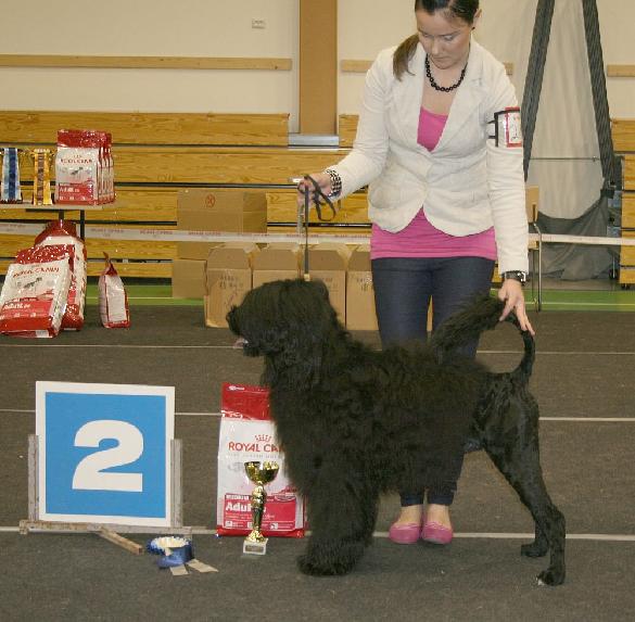 6.2.2010 Laihia group show, BIG-2