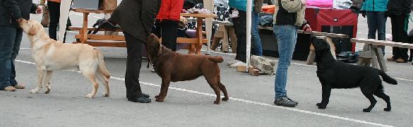 2.5.2010 Mouhijrvi Group Show: A's Deadliest Catch, A's This'n That and A's Dubonnet